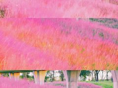-沉浸北京·团建旅行·密室剧本杀·年会会议轰趴拓展