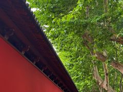 -鼓楼(西湖风景名胜区)