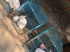 -呼吸森林·生态农庄农家乐私房菜