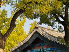 -北京国子监胡同