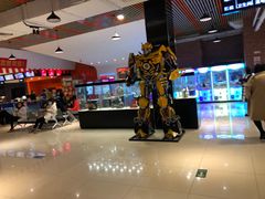 -华美国际影城(旧宫永辉店)