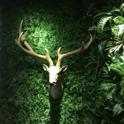点击看大图 -V-STAR威斯达•高级私人定制