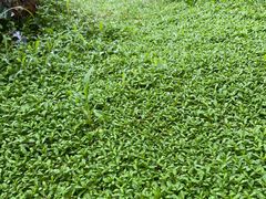 -MOJ coffee(瓯海泽雅水碓坑店)