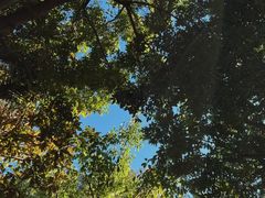 -腾冲洞山温泉村