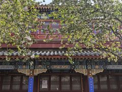 -莲池书院博物馆