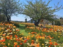 -名花谷生态庄园