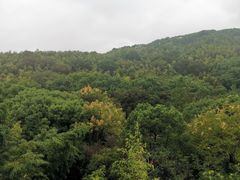 -上海佘山世茂艾美酒店