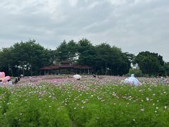 -厦门园林博览苑