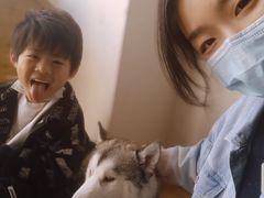 -Husky Go! 哈士奇体验馆·宠物咖啡厅狗咖