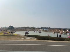 -空港花田景区