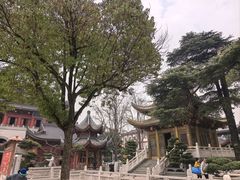 -上海东林寺(金山区)