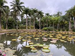 -中国科学院西双版纳热带植物园