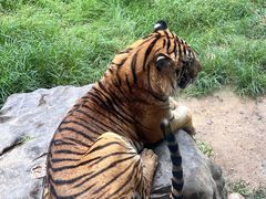 -济南野生动物世界