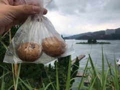 香菇茶叶蛋-金盆阿嬷香菇茶叶蛋(玄光店)