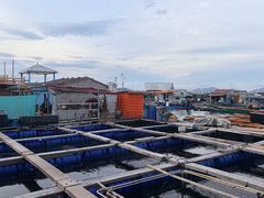-蓝湾碧波·老字号·疍家非遗海上餐厅