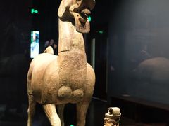 -广西壮族自治区博物馆