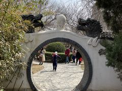 -桃花堤公园