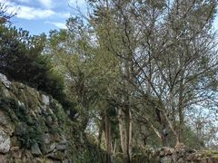 -唐崖土司城遗址