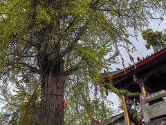 -金堂县云顶石城风景区