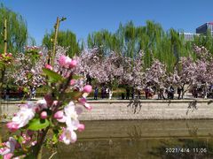 -海棠花溪(元大都城垣遗址公园)