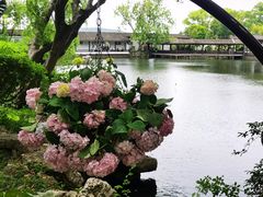 -无锡蠡湖国家湿地公园-蠡园
