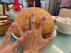 -万山楼海鲜酒家·二十三年老字号