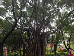 -江头公园