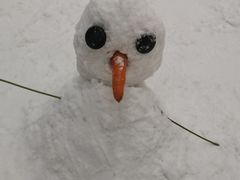 -广州热雪奇迹