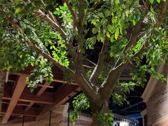 -北方家宴(番禺永旺店)