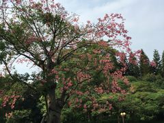 -四海公园(南山区)