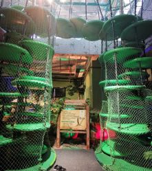 -恐龙探索乐园(磁器口店)