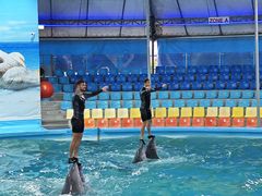-尼莫海豚馆