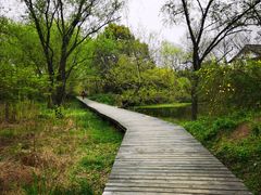 -西溪国家湿地公园