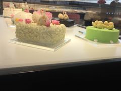 -BLACKSWAN黑天鹅(环球店)