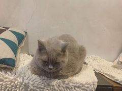 -小时光咖啡馆(北锣鼓巷店)