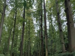 -上海怡沁园度假酒店