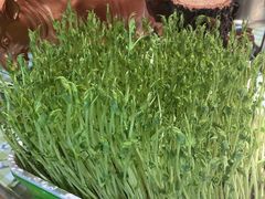 鲜活豌豆苗-番食园鲜食火锅(高新店)