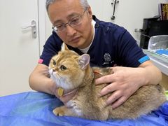 -美联众合动物医院·24h京西诊疗中心