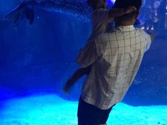 -波塞冬旅游度假区