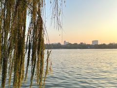-济南大明湖景区