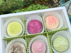 -好一朵茉莉花(老门东店)