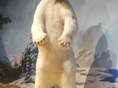 -陕西自然博物馆