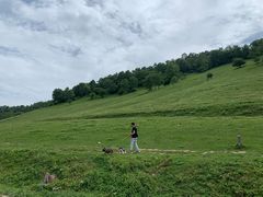 -关山草原
