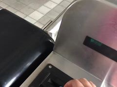 -黄浦江游览快线(金陵东路码头)
