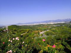 -密云玫瑰情园