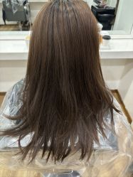 -YESIDO椰岛造型