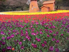 -苏州上方山国家森林公园