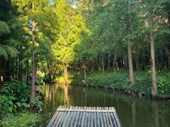 -尚湖风景区