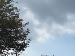 -东山雕花楼