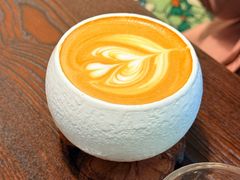 -树咖啡tree coffee